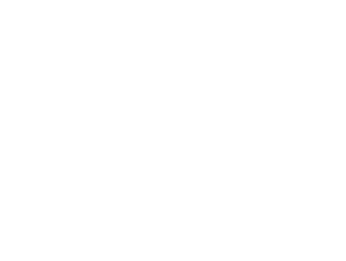 Toquin