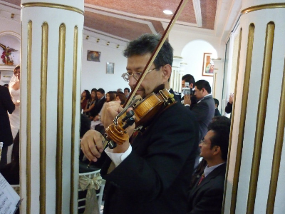 Trabajo de Arturo Fonseca Miquel violinista